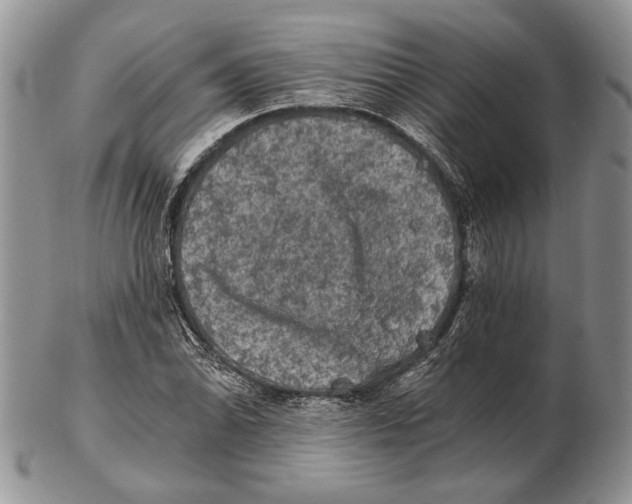 X0000102241070200808221325