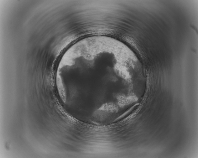 X0000102241071200808221325