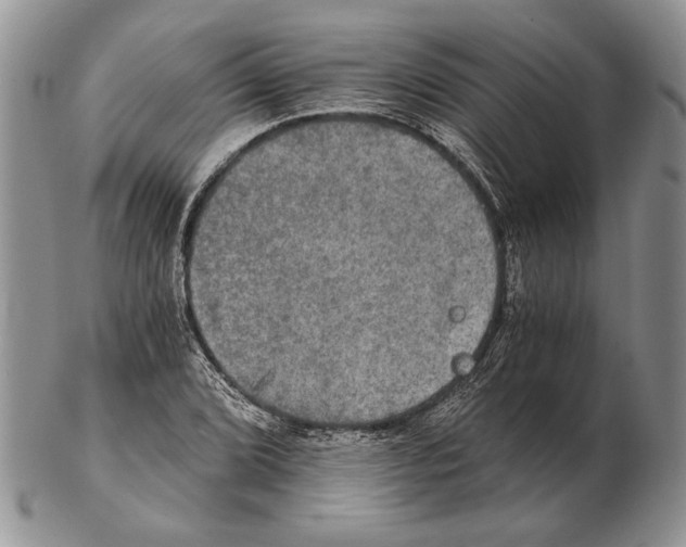 X0000102241072200808221325