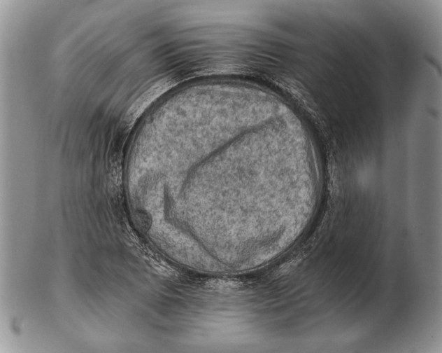 X0000102241073200808221325