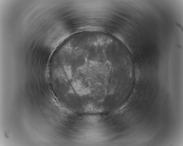 X0000102241074200808221325