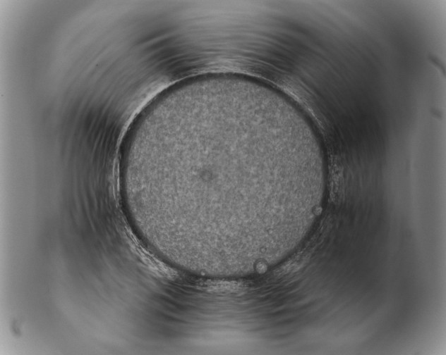 X0000102241076200808221325