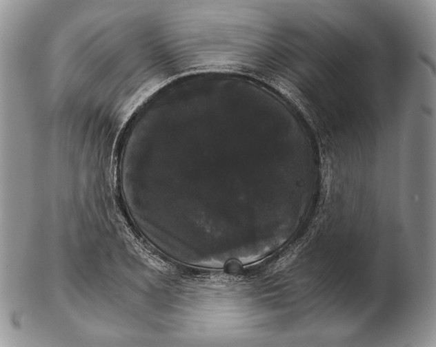 X0000102241077200808221325