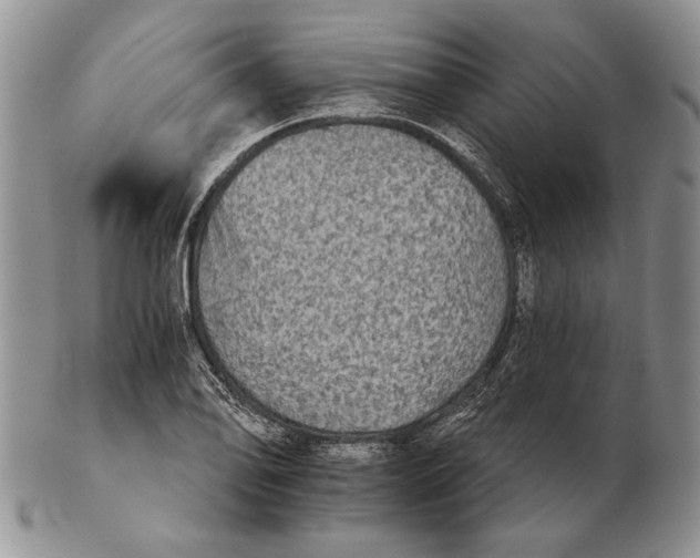 X0000102241078200808221325