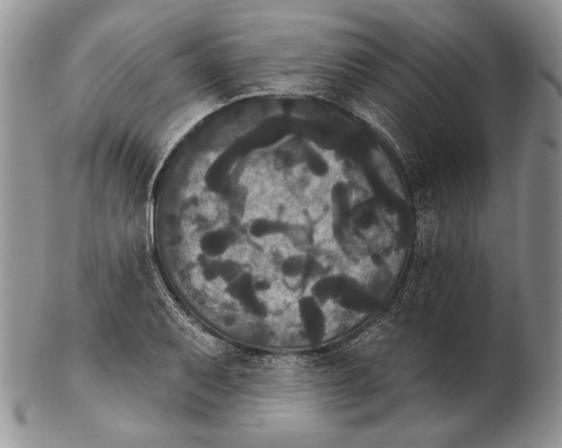 X0000102241079200808221325