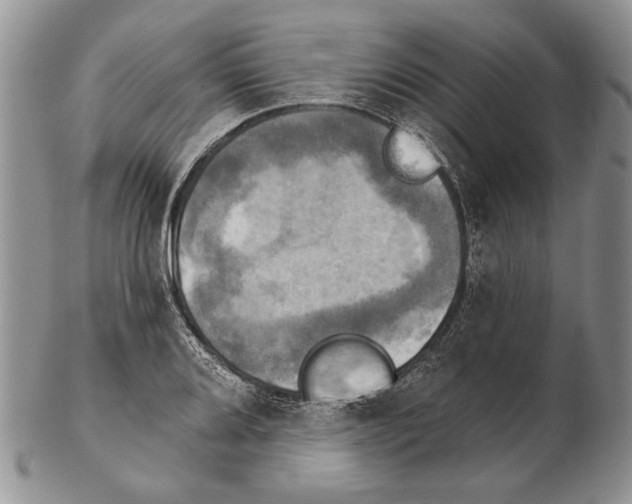 X0000102241080200808221325