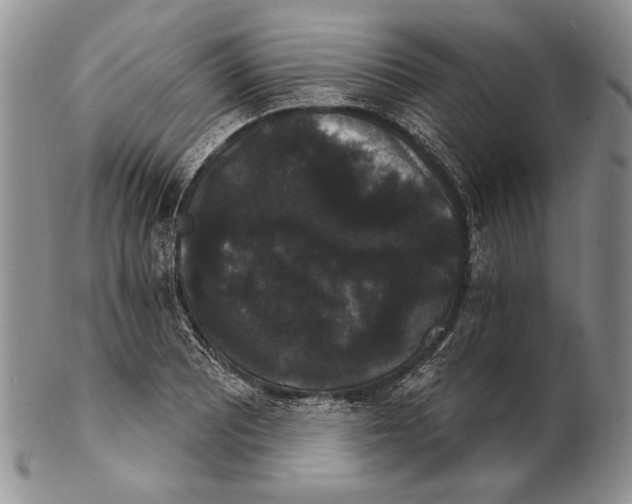 X0000102241081200808221325