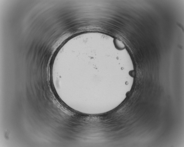 X0000102241082200808221325