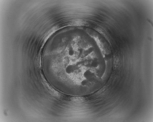 X0000102241083200808221325