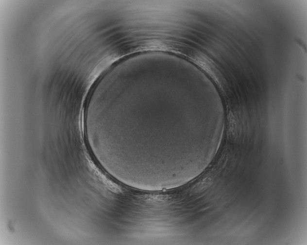 X0000102241084200808221325