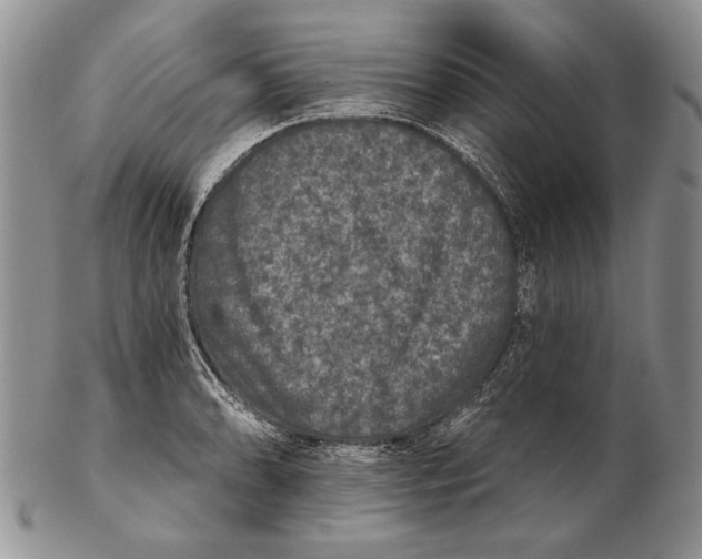 X0000102241086200808221325