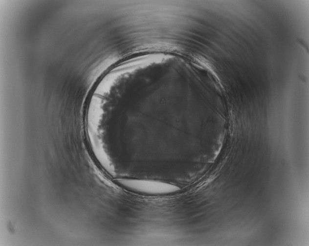 X0000102241087200808221325