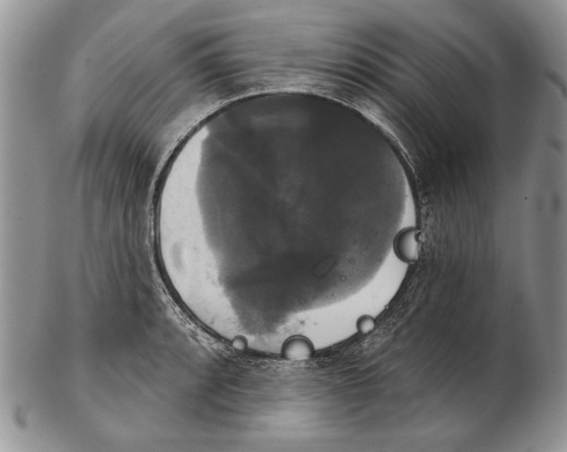 X0000102241088200808221325