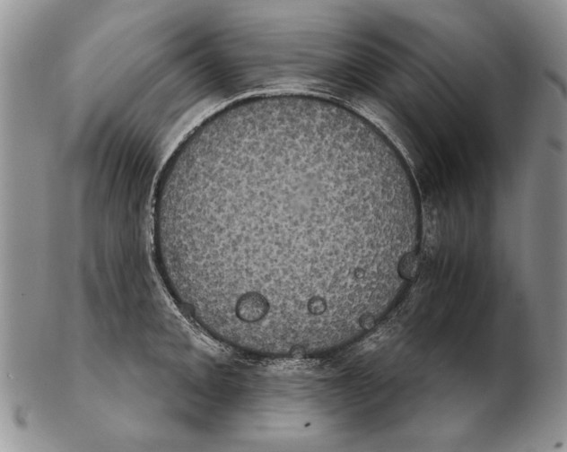 X0000102241093200808221325