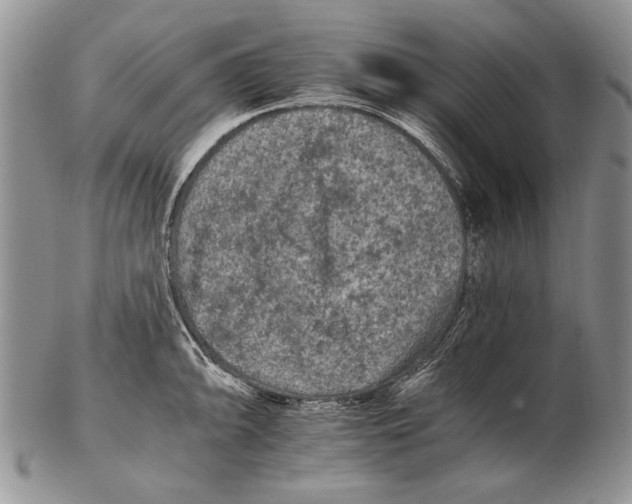 X0000102241094200808221325