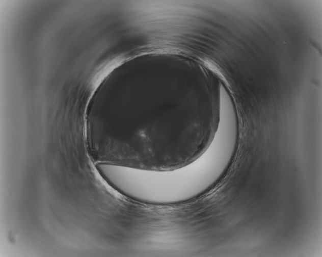 X0000102241095200808221325