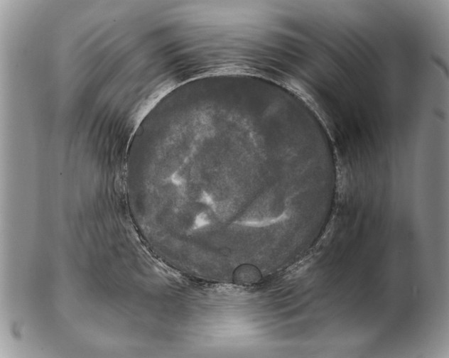 X0000102241097200808221325