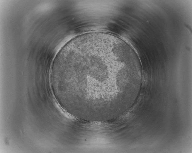 X0000102241098200808221324