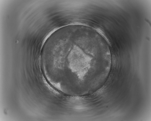 X0000102241100200808221324