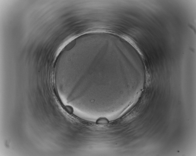 X0000102241101200808221324