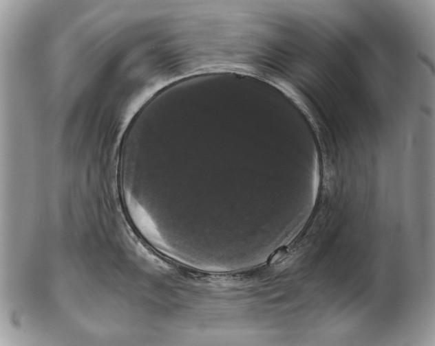 X0000102241102200808221324