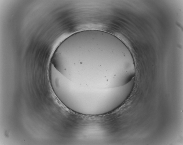 X0000102241104200808221324