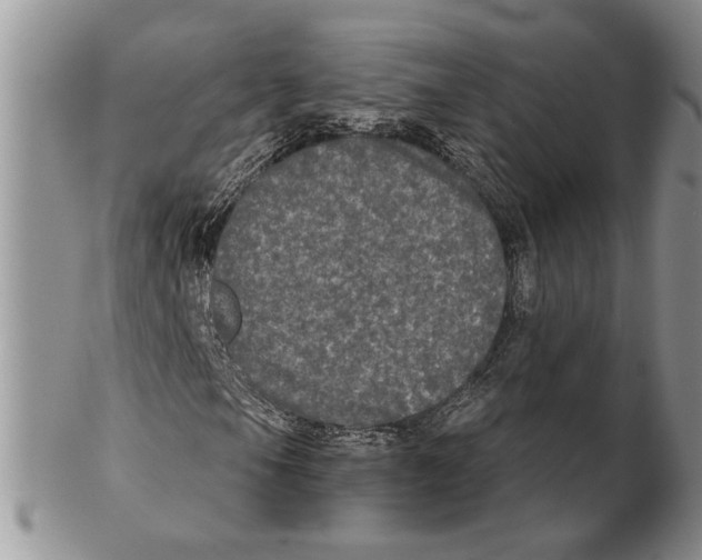 X0000102241105200808221324