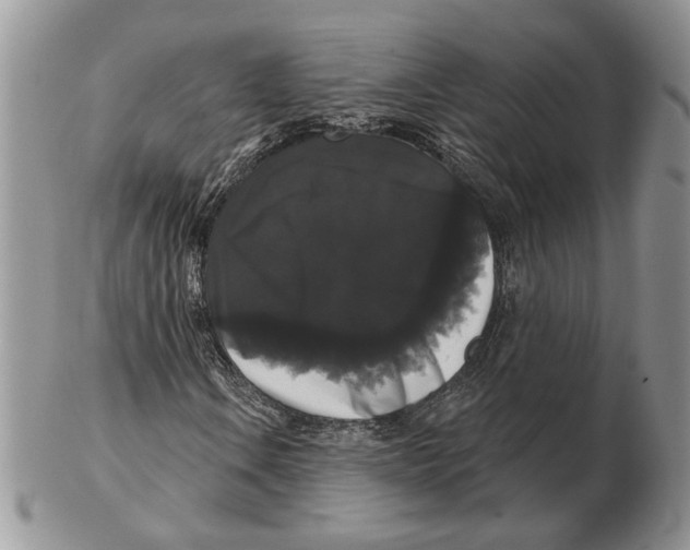 X0000102241106200808221324