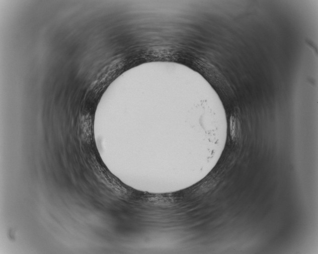 X0000102241107200808221324