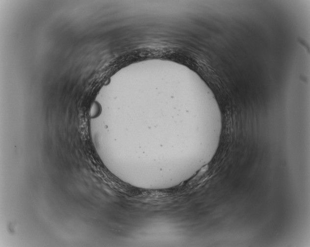 X0000102241109200808221324