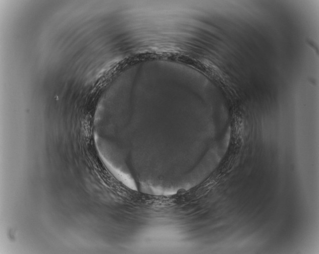 X0000102241110200808221324