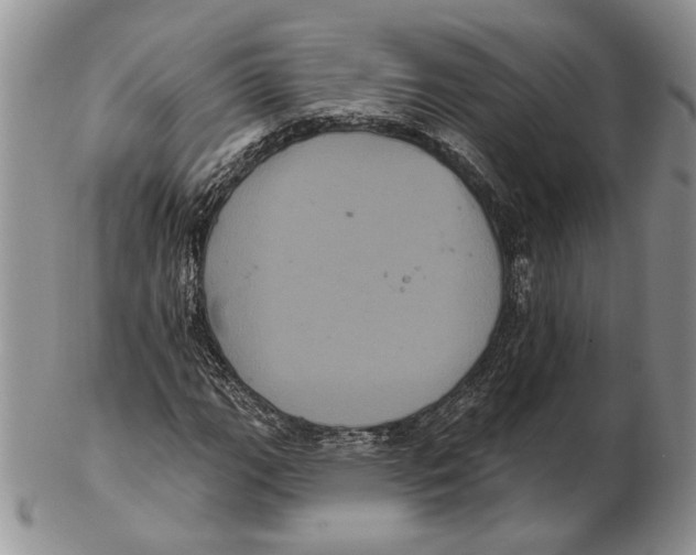 X0000102241111200808221324