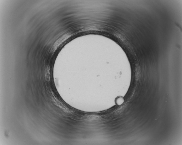 X0000102241113200808221324