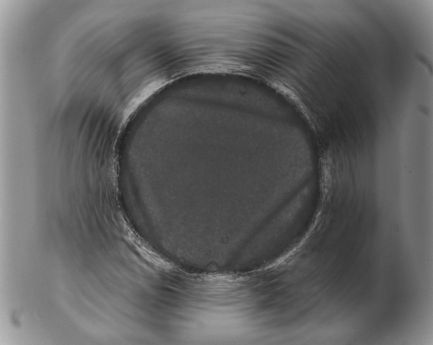 X0000102241114200808221324