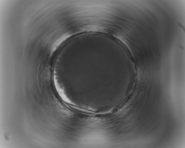 X0000102241115200808221324