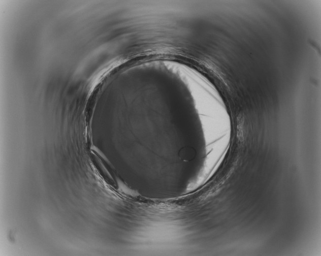 X0000102241117200808221324