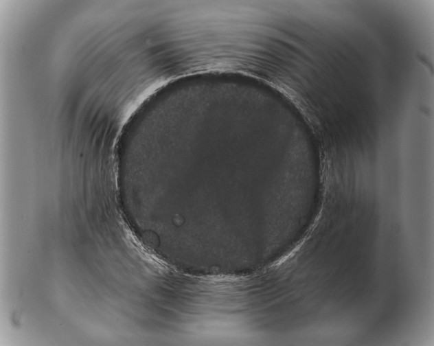 X0000102241118200808221324