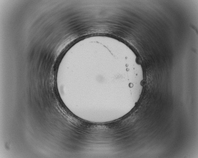 X0000102241119200808221324