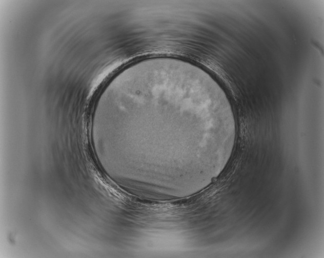 X0000102241120200808221324