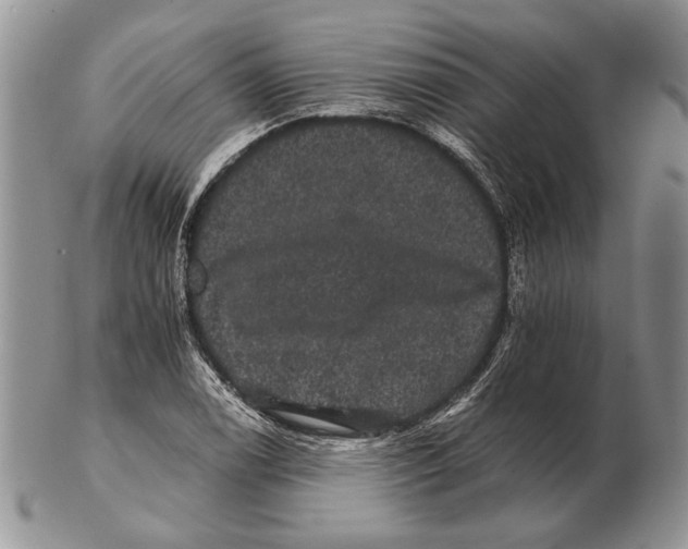 X0000102241122200808221324