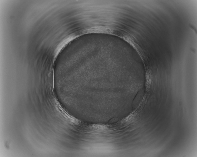 X0000102241123200808221324