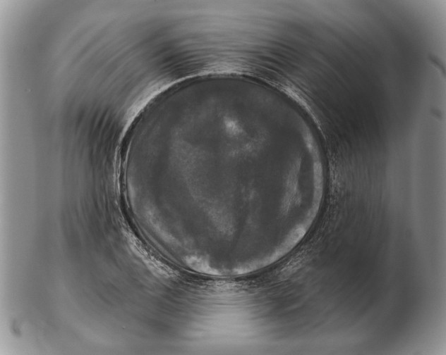 X0000102241124200808221324