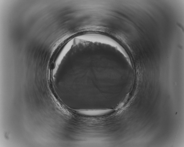 X0000102241125200808221324