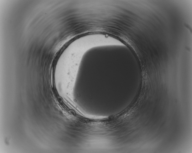 X0000102241127200808221324