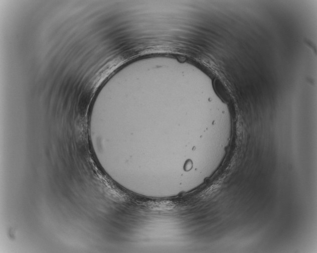 X0000102241129200808221324