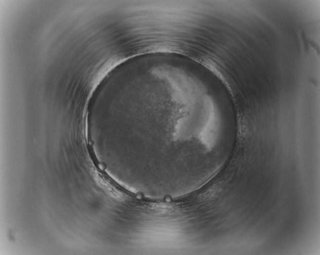 X0000102241132200808221324