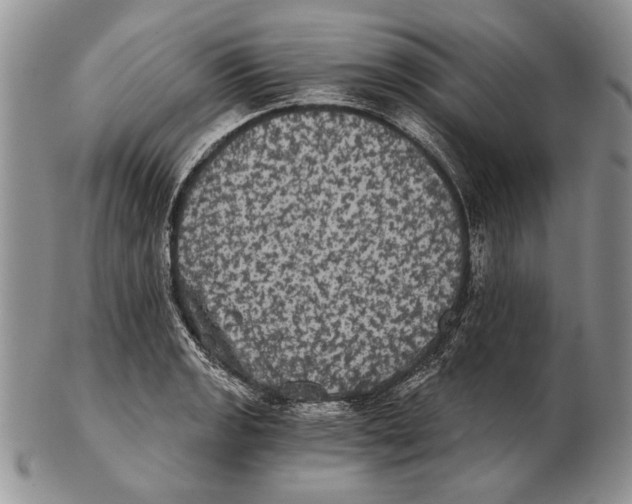 X0000102241133200808221324