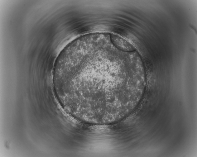 X0000102241134200808221324