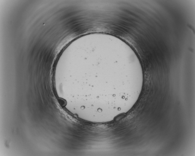 X0000102241135200808221324