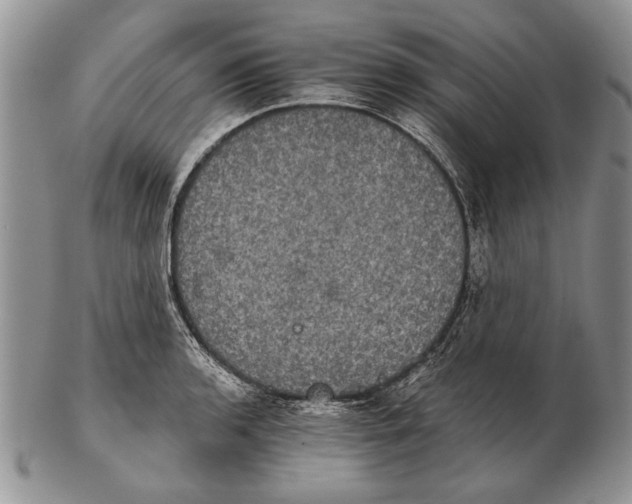 X0000102241136200808221324